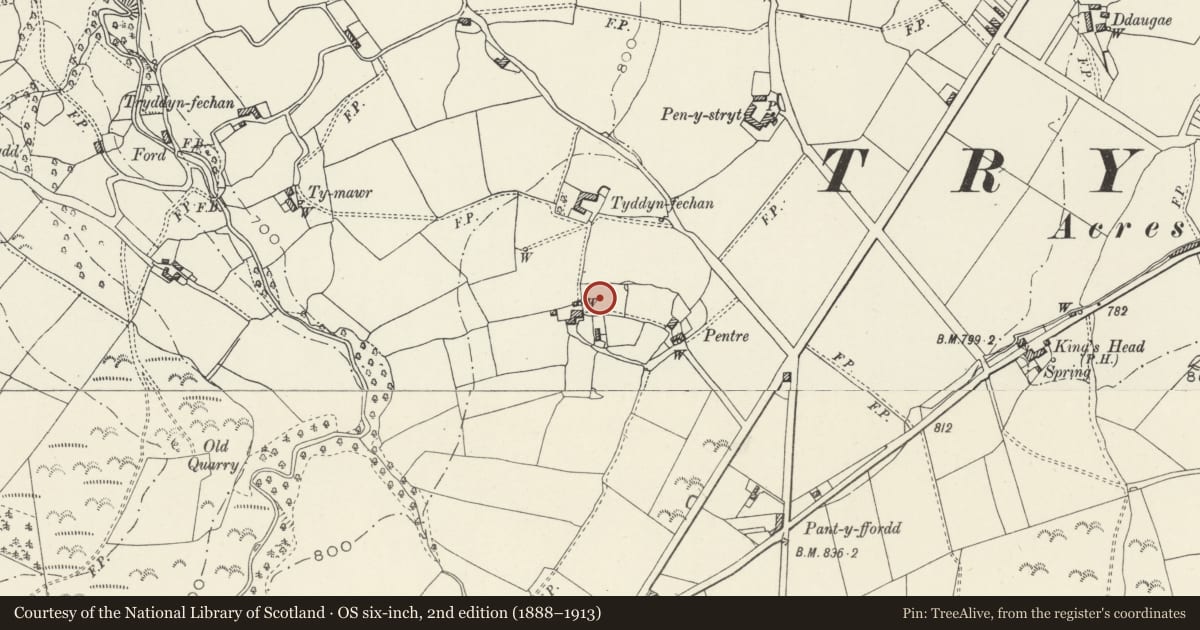 Ordnance Survey six-inch map, 2nd edition (1888–1913) covering the location of Pentre round barrow, Treuddyn, Flintshire, with a pin at the register's coordinates