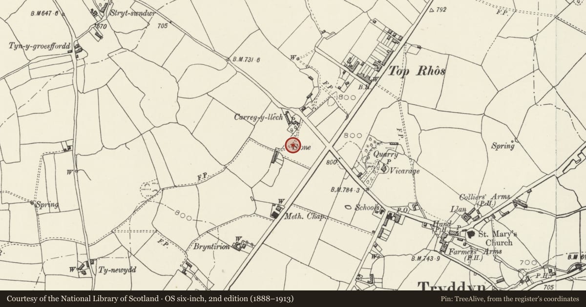 Ordnance Survey six-inch map, 2nd edition (1888–1913) covering the location of Carreg-y-llech standing stone, Treuddyn, Flintshire, with a pin at the register's coordinates