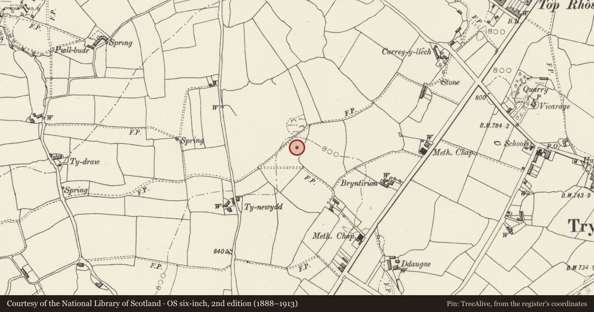 Ordnance Survey six-inch map, 2nd edition (1888–1913) covering the location of Bryntirion round barrow, Treuddyn, Flintshire, with a pin at the register's coordinates