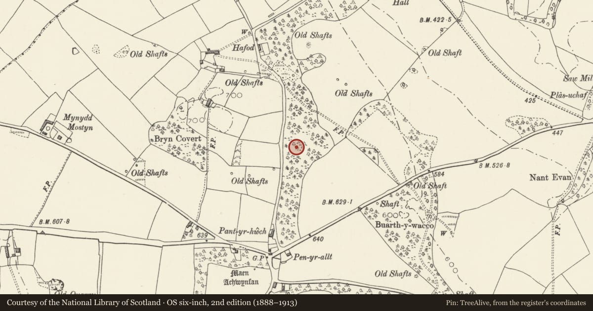 Ordnance Survey six-inch map, 2nd edition (1888–1913) covering the location of Coed-y-bryn round barrow, Whitford, Flintshire, with a pin at the register's coordinates