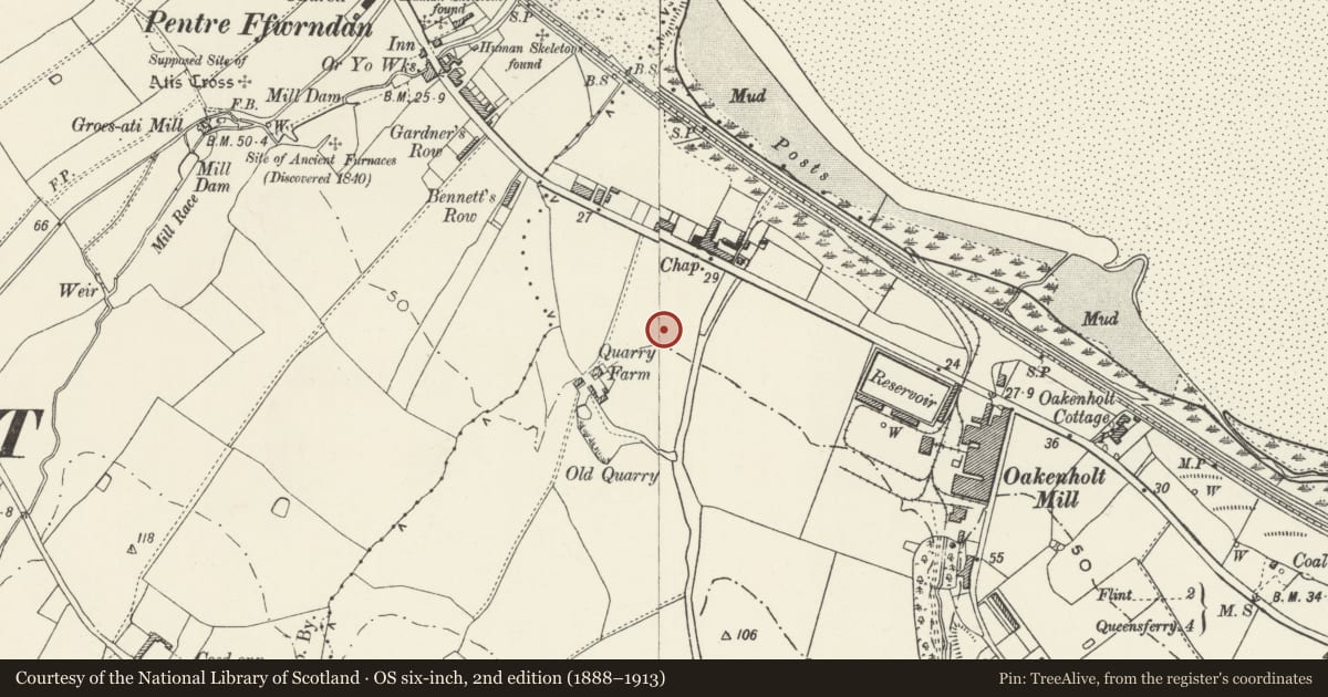Ordnance Survey six-inch map, 2nd edition (1888–1913) covering the location of Croes Atti Roman Site, Flint, Flintshire, with a pin at the register's coordinates