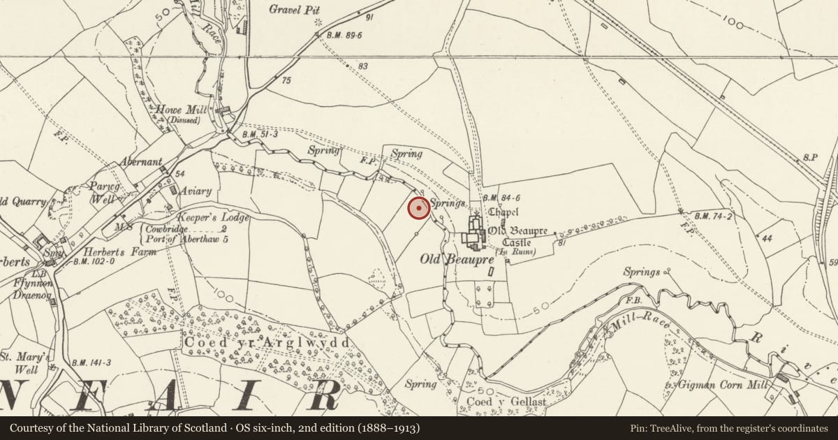 Ordnance Survey six-inch map, 2nd edition (1888–1913) covering the location of Old Beaupre Castle, Llanfair, Vale of Glamorgan, with a pin at the register's coordinates