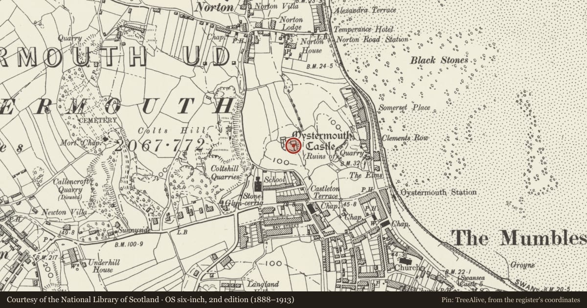 Ordnance Survey six-inch map, 2nd edition (1888–1913) covering the location of Oystermouth Castle, Mumbles, Swansea, with a pin at the register's coordinates