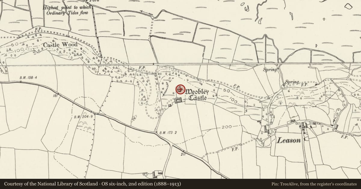 Ordnance Survey six-inch map, 2nd edition (1888–1913) covering the location of Weobley Castle, Llanrhidian Lower, Swansea, with a pin at the register's coordinates