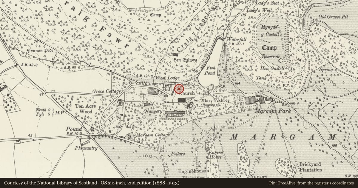 Ordnance Survey six-inch map, 2nd edition (1888–1913) covering the location of Margam Inscribed & Sculptured Stones, Neath Port Talbot, with a pin at the register's coordinates