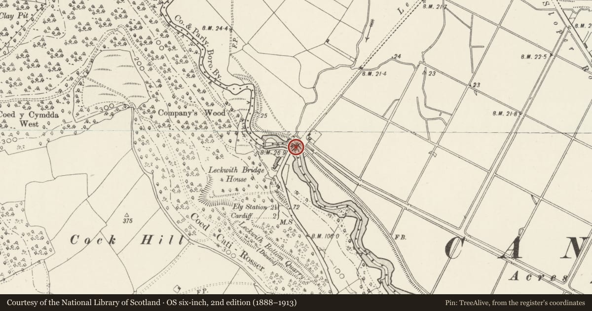 Ordnance Survey six-inch map, 2nd edition (1888–1913) covering the location of Leckwith Bridge, Canton, Cardiff, with a pin at the register's coordinates