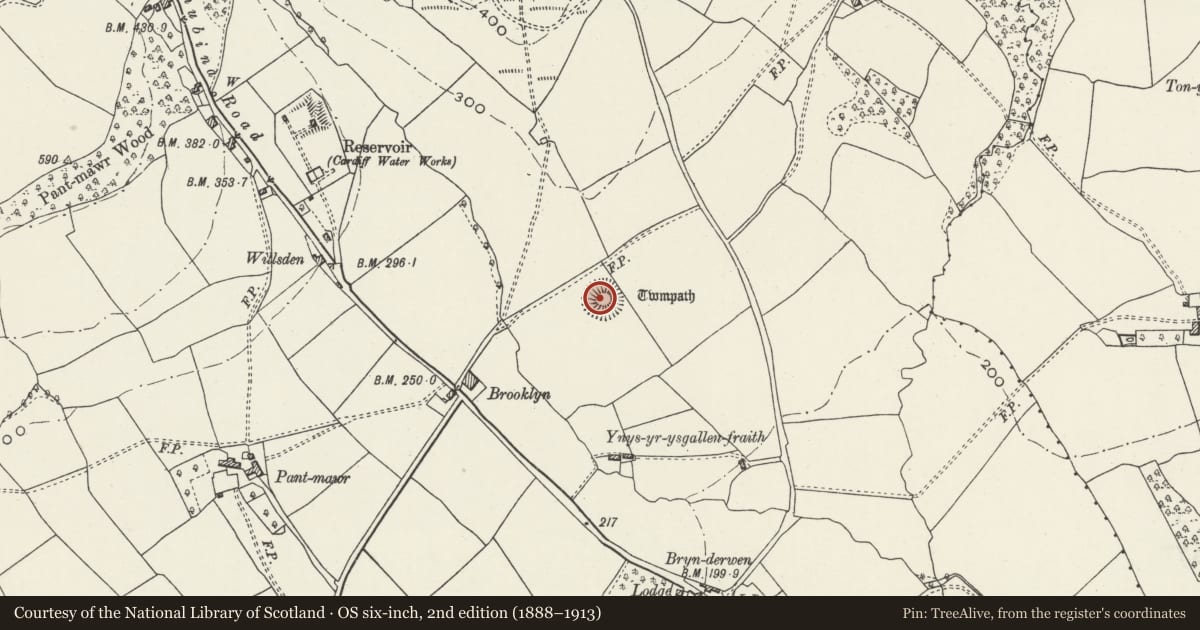 Ordnance Survey six-inch map, 2nd edition (1888–1913) covering the location of Twmpath, Rhiwbina, Cardiff, with a pin at the register's coordinates