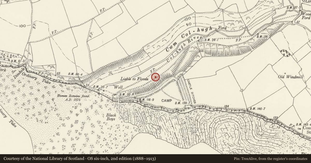 Ordnance Survey six-inch map, 2nd edition (1888–1913) covering the location of Castle Ditches Camp, Llantwit Major, Vale of Glamorgan, with a pin at the register's coordinates