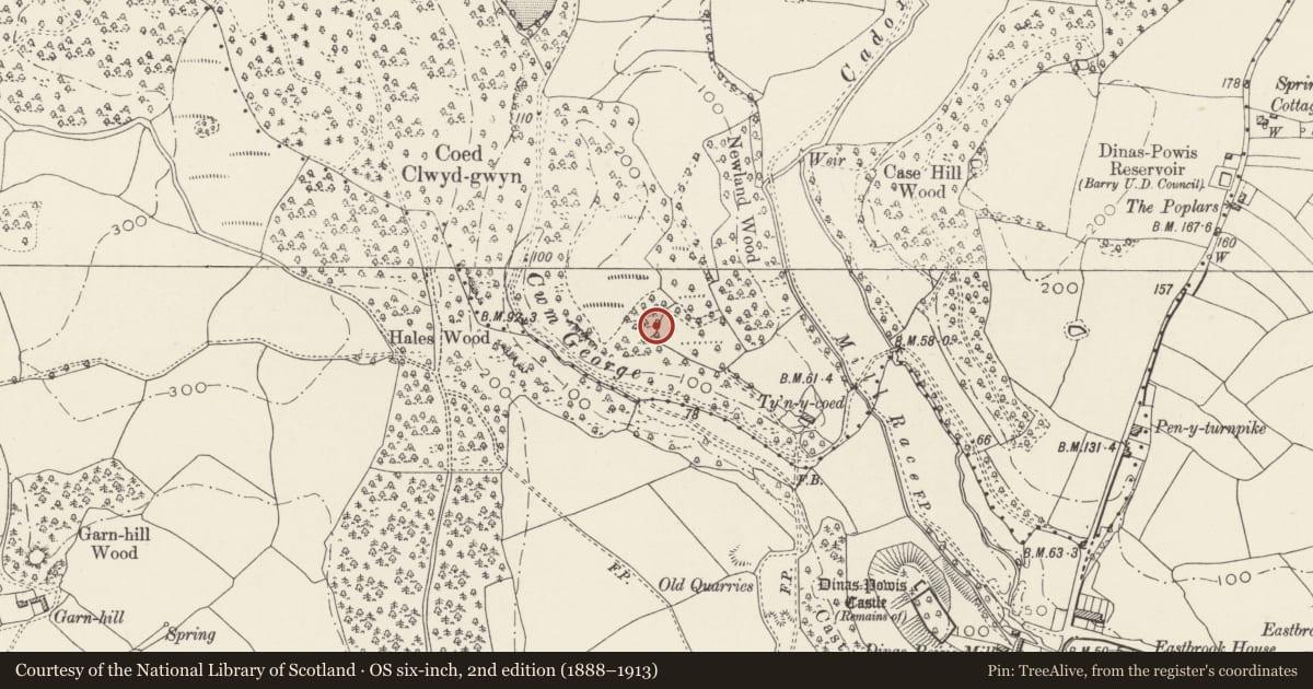 Ordnance Survey six-inch map, 2nd edition (1888–1913) covering the location of Tyn y Coed Earthwork, Michaelston-le-Pit and Leckwith, Vale of Glamorgan, with a pin at the register's coordinates