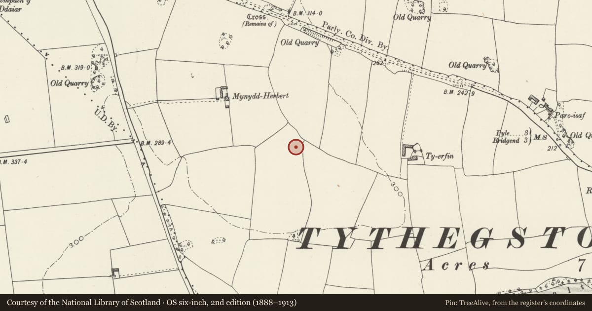 Ordnance Survey six-inch map, 2nd edition (1888–1913) covering the location of Mynydd Herbert Round Barrow, Merthyr Mawr, Bridgend, with a pin at the register's coordinates