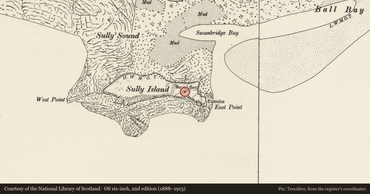 Ordnance Survey six-inch map, 2nd edition (1888–1913) covering the location of Sully Island, "Danish" Fort, Vale of Glamorgan, with a pin at the register's coordinates