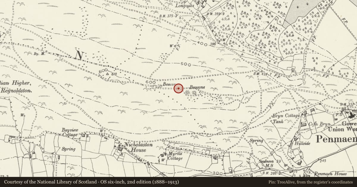 Ordnance Survey six-inch map, 2nd edition (1888–1913) covering the location of Cairns on Cefn Bryn, Ilston, Swansea, with a pin at the register's coordinates