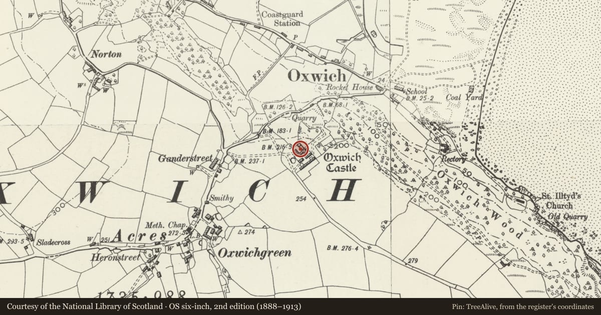 Ordnance Survey six-inch map, 2nd edition (1888–1913) covering the location of Castell Oxwich, Penrice, Swansea, with a pin at the register's coordinates