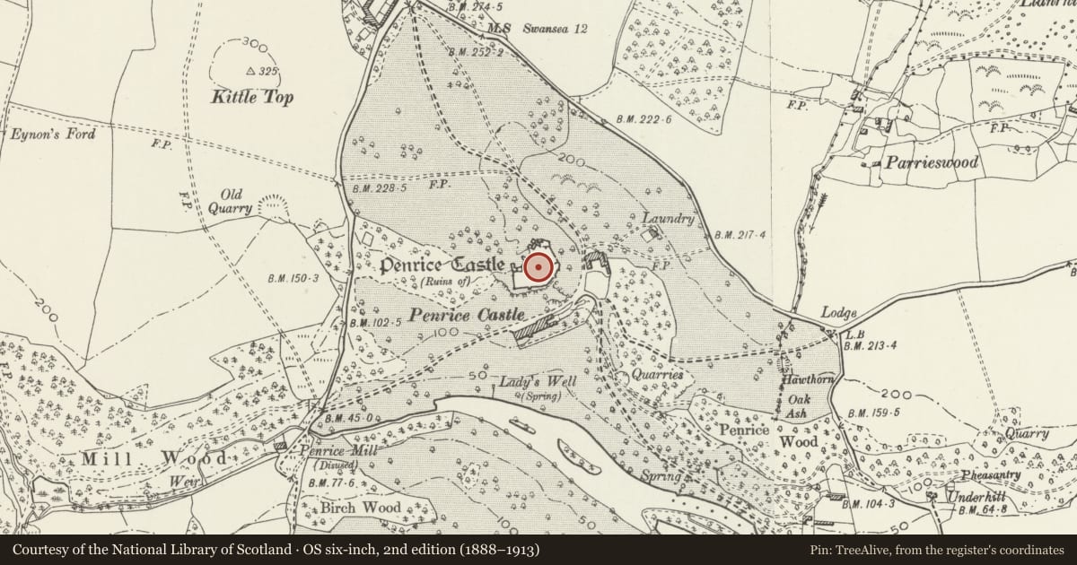 Ordnance Survey six-inch map, 2nd edition (1888–1913) covering the location of Penrice Castle, Swansea, with a pin at the register's coordinates
