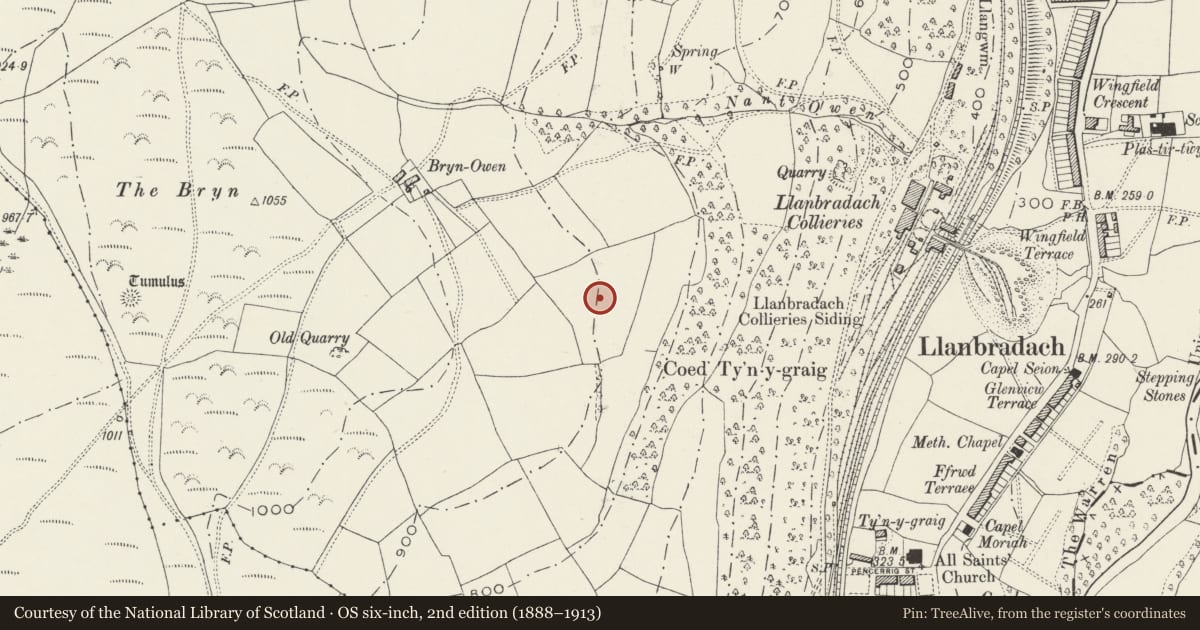 Ordnance Survey six-inch map, 2nd edition (1888–1913) covering the location of Bryn Owen Farm Cairns, Llanfabon, Llanbradach and Pwllypant, Caerphilly, with a pin at the register's coordinates