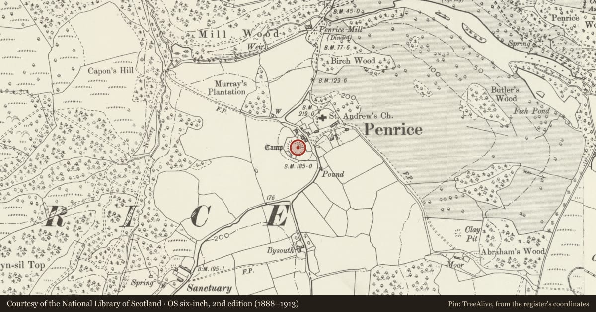 Ordnance Survey six-inch map, 2nd edition (1888–1913) covering the location of Penrice Ringwork, Swansea, with a pin at the register's coordinates