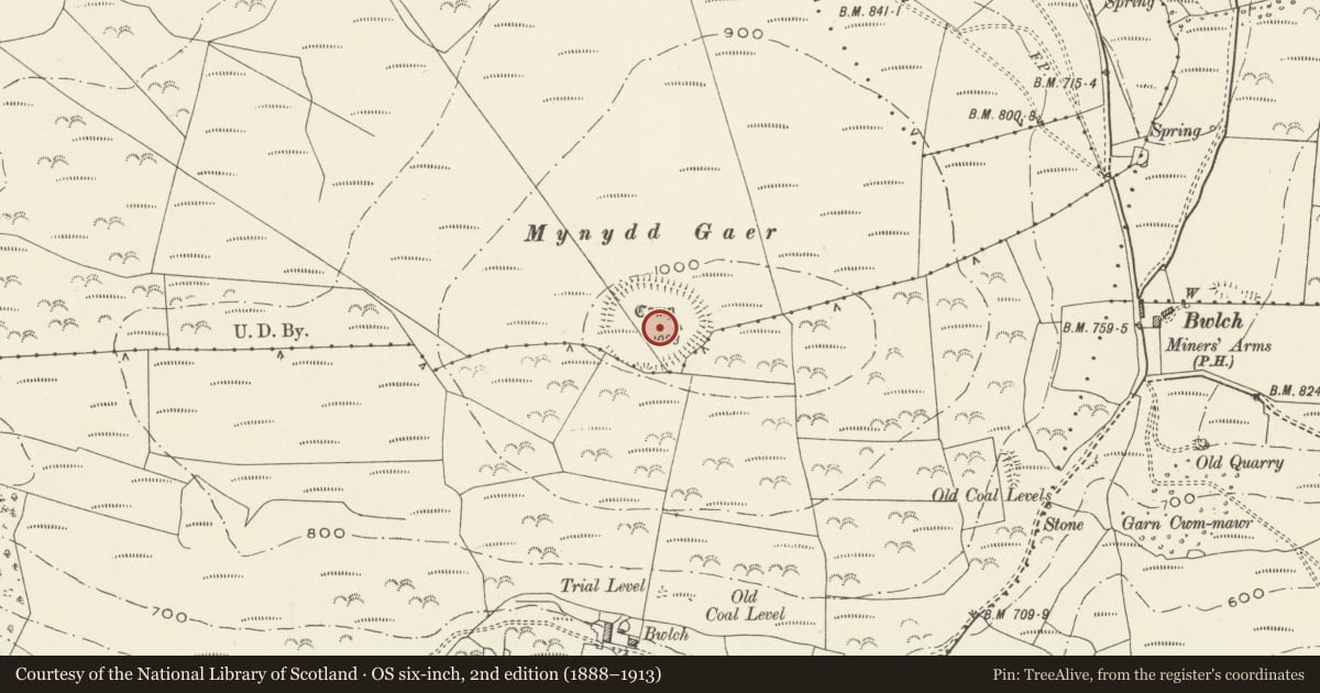 Ordnance Survey six-inch map, 2nd edition (1888–1913) covering the location of Buarth y Gaer, Mynydd y Gaer, Briton Ferry, Neath Port Talbot, with a pin at the register's coordinates