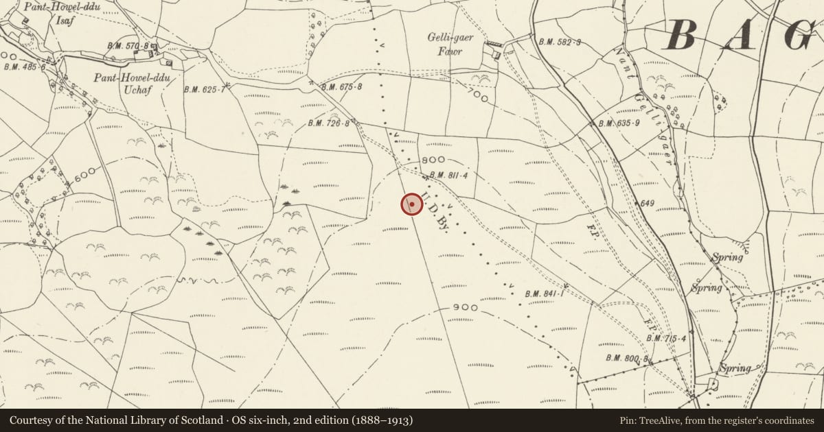 Ordnance Survey six-inch map, 2nd edition (1888–1913) covering the location of Mynydd y Gaer (Lower) Camp, Briton Ferry, Neath Port Talbot, with a pin at the register's coordinates