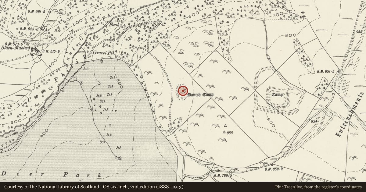 Ordnance Survey six-inch map, 2nd edition (1888–1913) covering the location of Danish Camp, Margam, Neath Port Talbot, with a pin at the register's coordinates