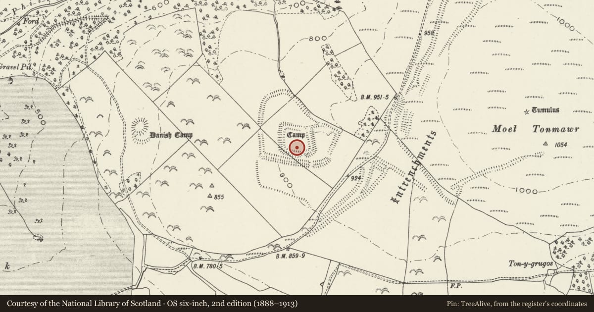 Ordnance Survey six-inch map, 2nd edition (1888–1913) covering the location of Camp N of Tonmawr, Margam, Neath Port Talbot, with a pin at the register's coordinates