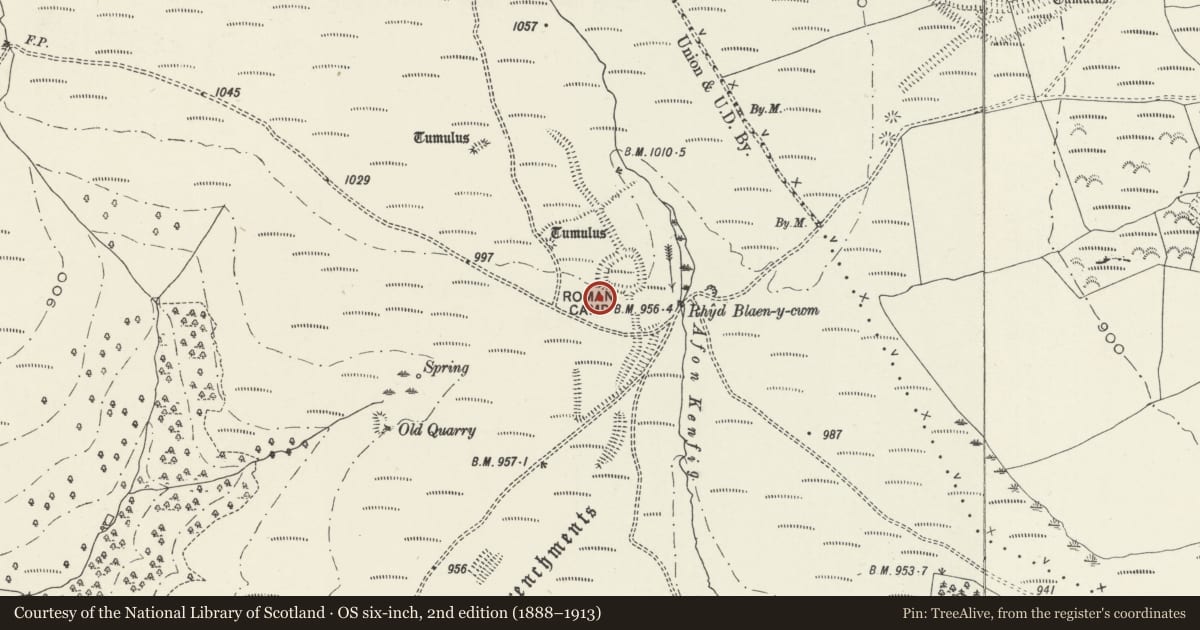 Ordnance Survey six-inch map, 2nd edition (1888–1913) covering the location of Roman Camp, Margam, Neath Port Talbot, with a pin at the register's coordinates