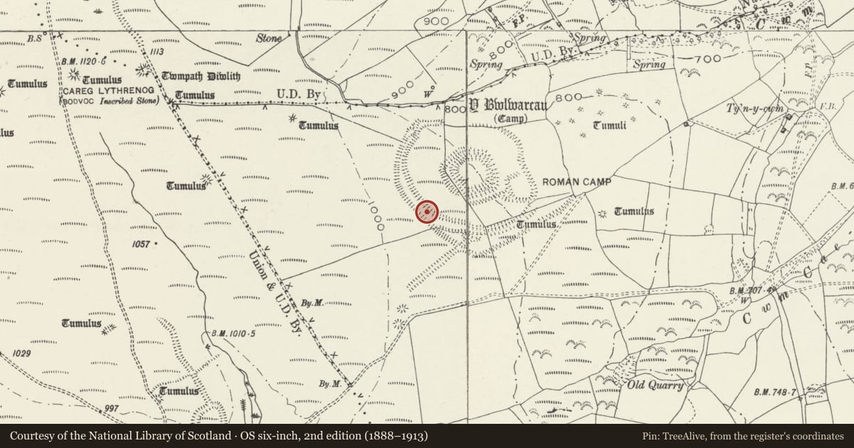 Ordnance Survey six-inch map, 2nd edition (1888–1913) covering the location of Y Bwlwarcau, Llangynwyd Middle, Bridgend, with a pin at the register's coordinates