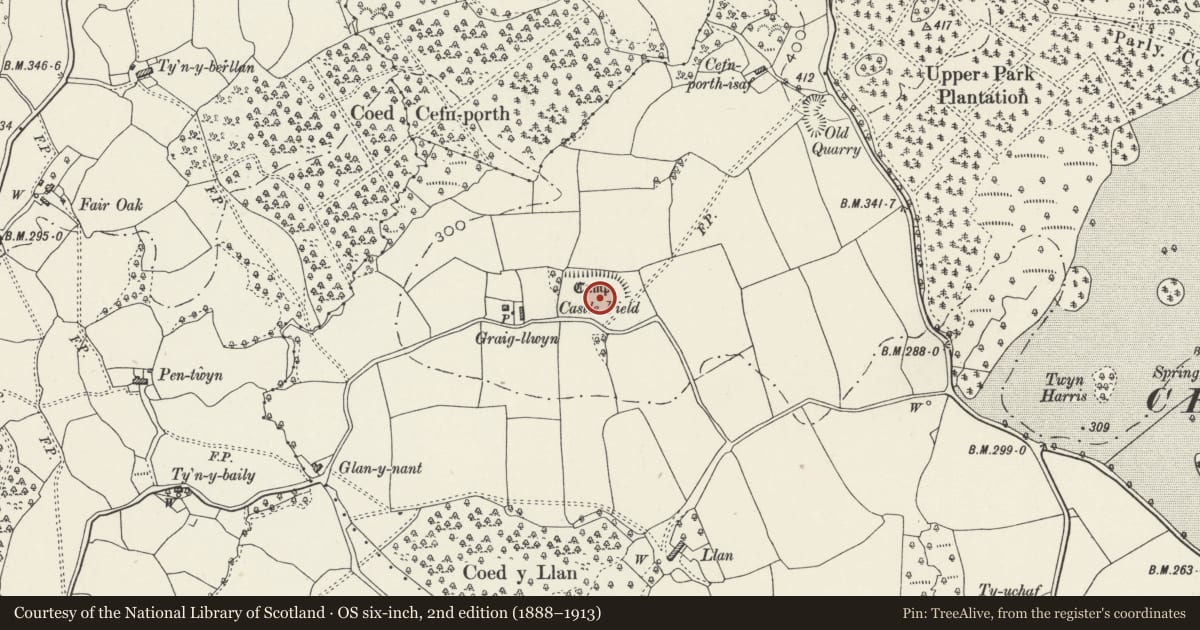 Ordnance Survey six-inch map, 2nd edition (1888–1913) covering the location of Castle Field Camp E Of Craig-Llywn, Pontprennau, Cardiff, with a pin at the register's coordinates