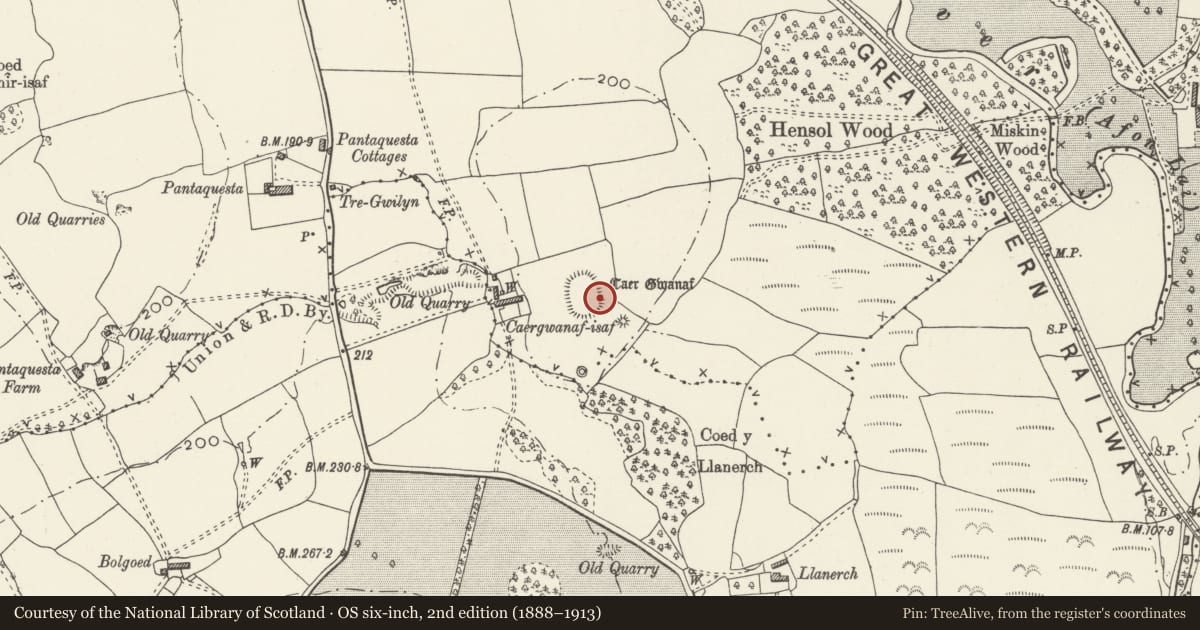 Ordnance Survey six-inch map, 2nd edition (1888–1913) covering the location of Caer Gwanaf, Pont-y-Clun, Rhondda Cynon Taff, with a pin at the register's coordinates