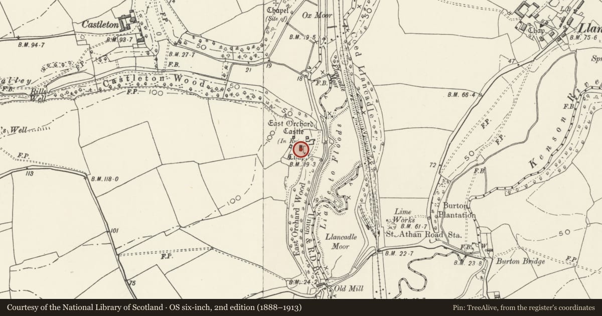 Ordnance Survey six-inch map, 2nd edition (1888–1913) covering the location of East Orchard Manor House, St. Athan, Vale of Glamorgan, with a pin at the register's coordinates