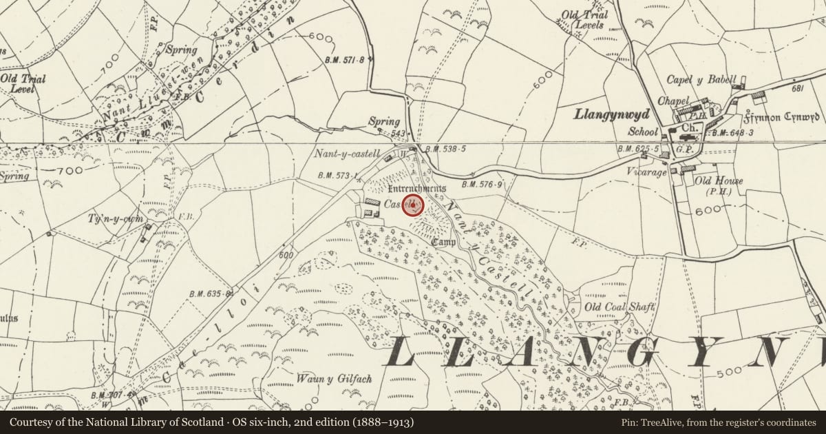 Ordnance Survey six-inch map, 2nd edition (1888–1913) covering the location of Llangynwyd Castle, Llangynwyd Middle, Bridgend, with a pin at the register's coordinates
