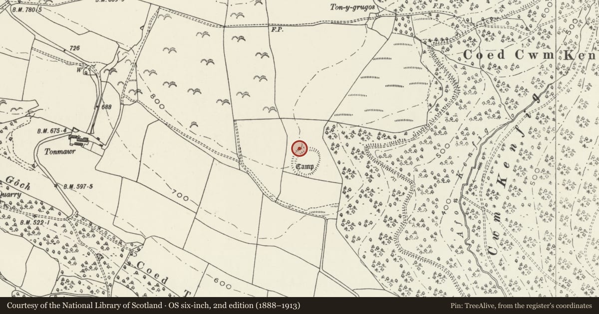 Ordnance Survey six-inch map, 2nd edition (1888–1913) covering the location of Camp 530m E of Tonmawr, Margam, Neath Port Talbot, with a pin at the register's coordinates