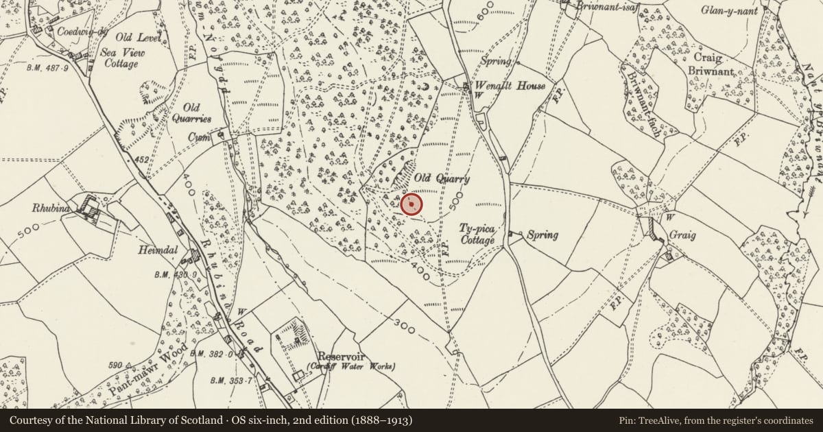 Ordnance Survey six-inch map, 2nd edition (1888–1913) covering the location of Wenallt Camp, Rhiwbina, Cardiff, with a pin at the register's coordinates