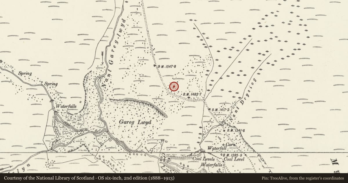 Ordnance Survey six-inch map, 2nd edition (1888–1913) covering the location of Blaenrhondda settlement, Treherbert, Rhondda Cynon Taff, with a pin at the register's coordinates