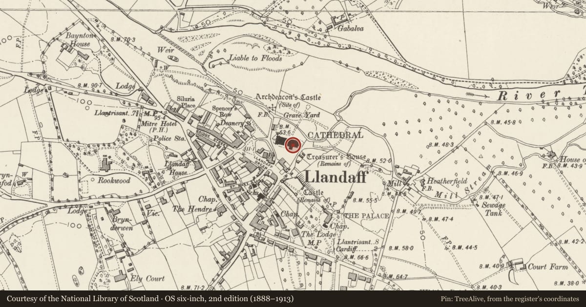 Ordnance Survey six-inch map, 2nd edition (1888–1913) covering the location of Cross in Llandaff Cathedral, Cardiff, with a pin at the register's coordinates