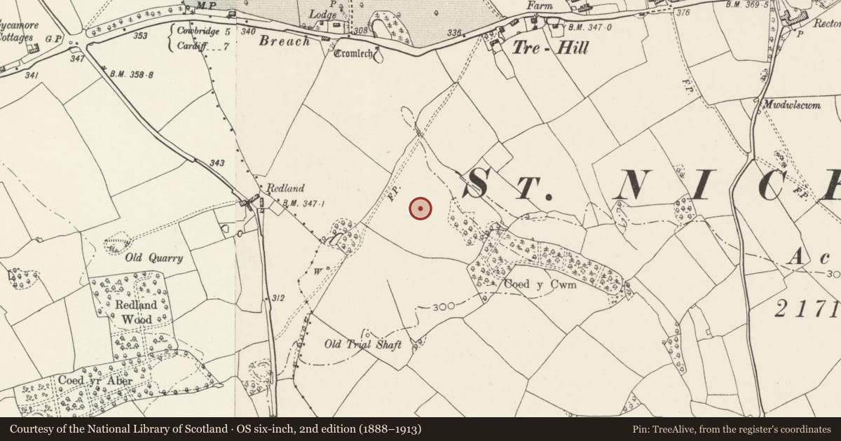 Ordnance Survey six-inch map, 2nd edition (1888–1913) covering the location of Coed-y-Cwm Chambered Cairn, St. Nicholas and Bonvilston, Vale of Glamorgan, with a pin at the register's coordinates