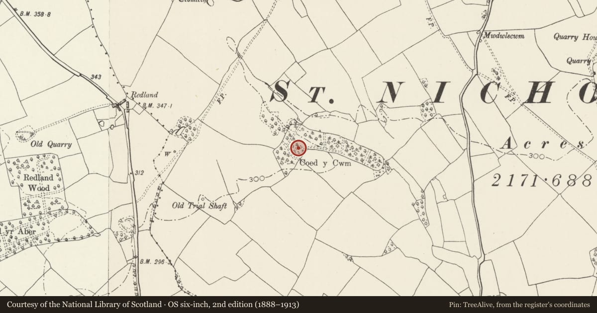 Ordnance Survey six-inch map, 2nd edition (1888–1913) covering the location of Coed y Cwm Ringwork, St. Nicholas and Bonvilston, Vale of Glamorgan, with a pin at the register's coordinates