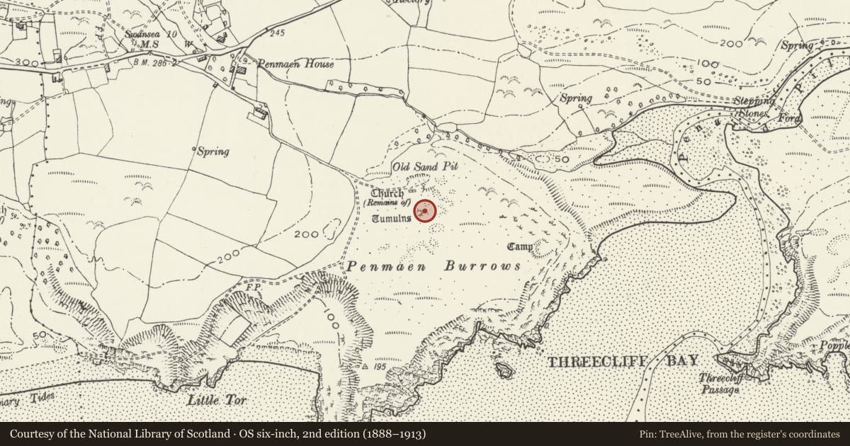 Ordnance Survey six-inch map, 2nd edition (1888–1913) covering the location of Penmaen Burrows Burial Chamber, Ilston, Swansea, with a pin at the register's coordinates