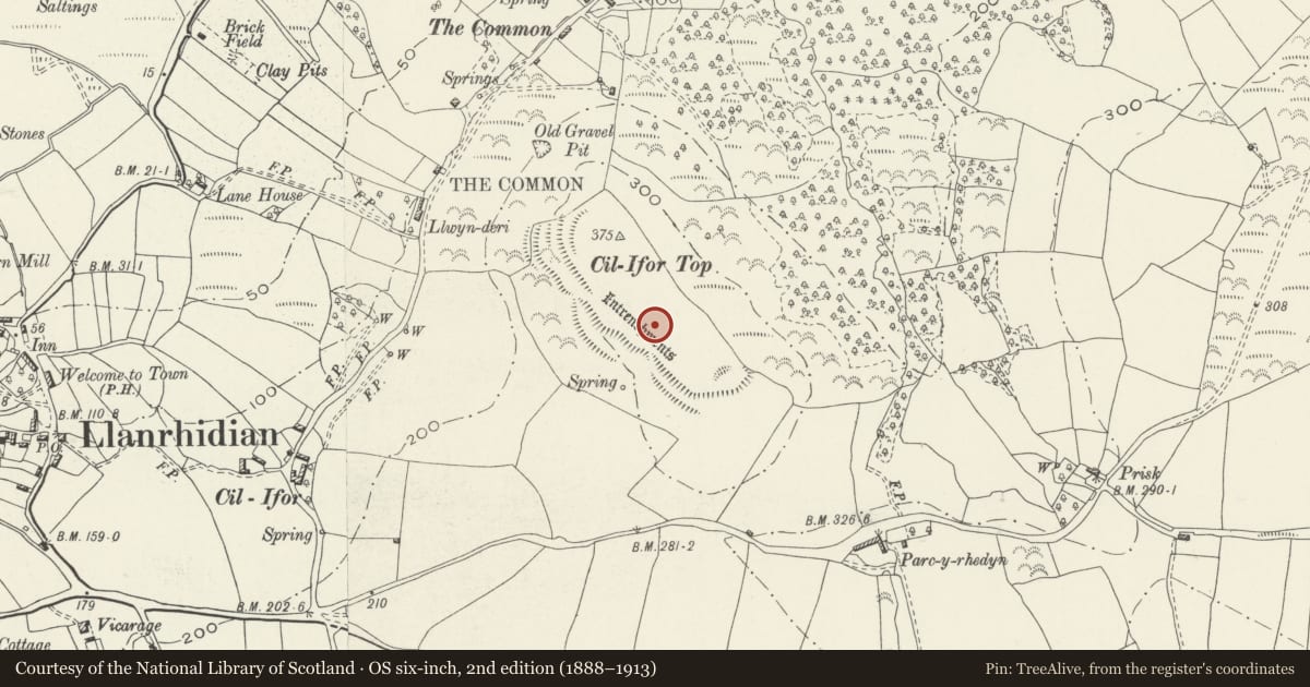 Ordnance Survey six-inch map, 2nd edition (1888–1913) covering the location of Cil Ifor Promontory Fort, Llanrhidian Lower, Swansea, with a pin at the register's coordinates
