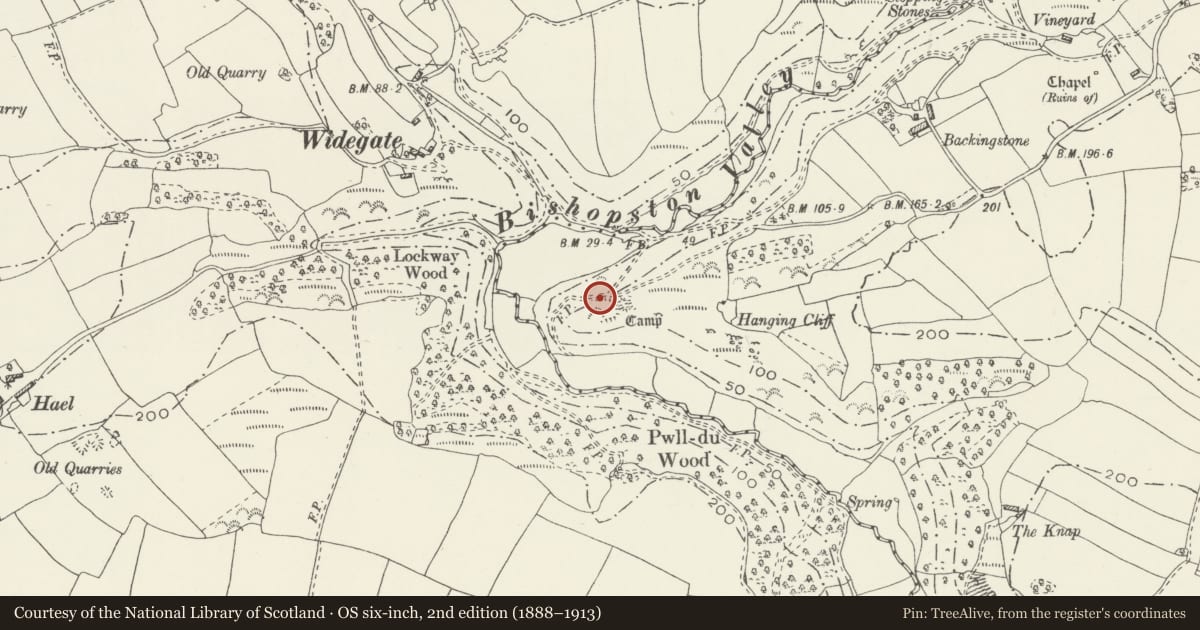 Ordnance Survey six-inch map, 2nd edition (1888–1913) covering the location of Bishopston Valley Camp, Swansea, with a pin at the register's coordinates