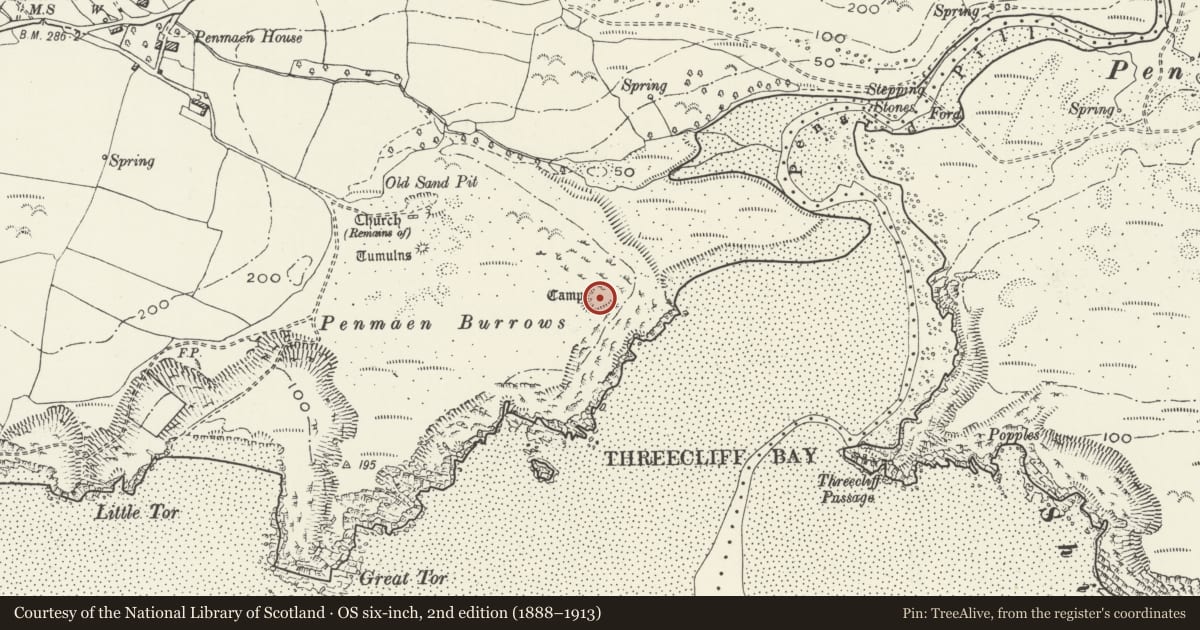 Ordnance Survey six-inch map, 2nd edition (1888–1913) covering the location of Penmaen Burrows Ringwork, Ilston, Swansea, with a pin at the register's coordinates