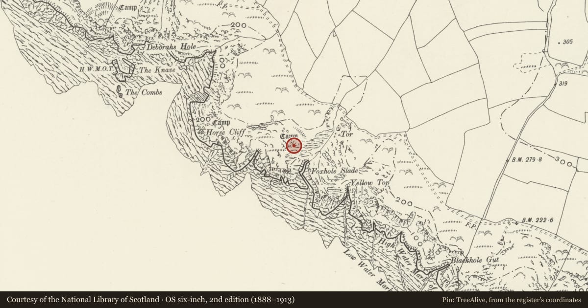 Ordnance Survey six-inch map, 2nd edition (1888–1913) covering the location of Paviland Camp, Rhossili, Swansea, with a pin at the register's coordinates