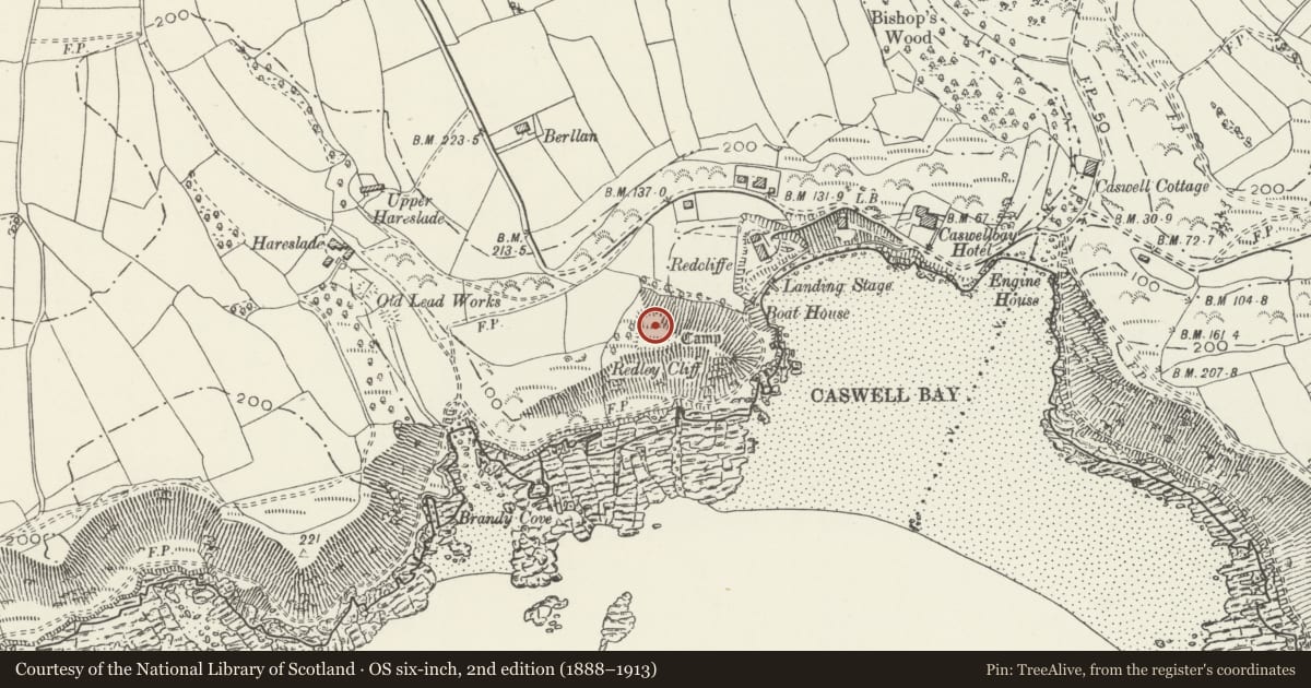 Ordnance Survey six-inch map, 2nd edition (1888–1913) covering the location of Caswell Cliff Fort, Bishopston, Swansea, with a pin at the register's coordinates