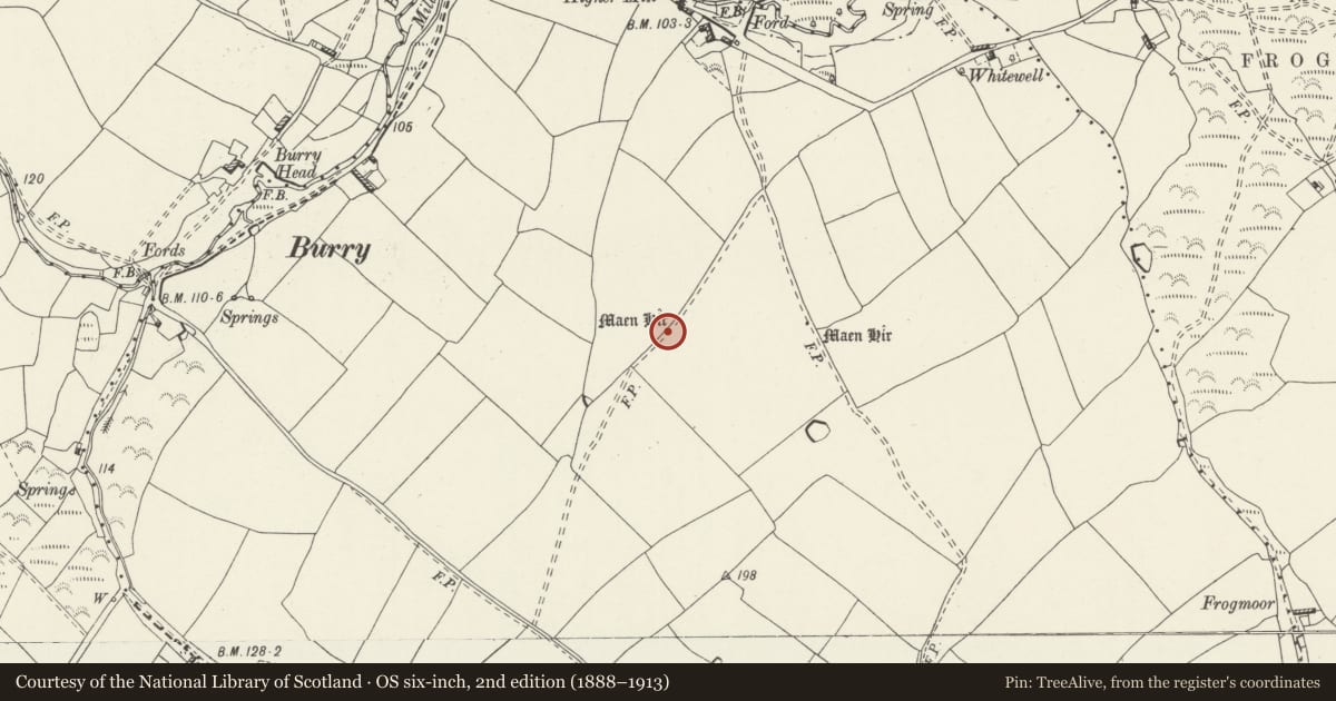 Ordnance Survey six-inch map, 2nd edition (1888–1913) covering the location of Burry Lesser Standing Stone, Port Eynon, Swansea, with a pin at the register's coordinates
