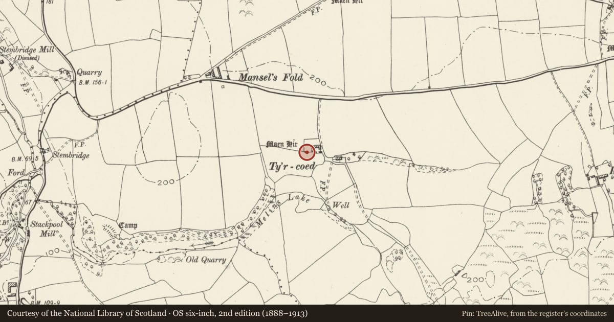 Ordnance Survey six-inch map, 2nd edition (1888–1913) covering the location of Standing Stone on Ty'r Coed Farm, Llanrhidian Lower, Swansea, with a pin at the register's coordinates