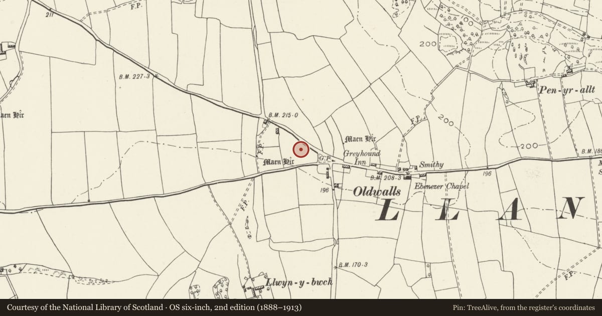 Ordnance Survey six-inch map, 2nd edition (1888–1913) covering the location of Lower Greyhound Inn Standing Stones, Llanrhidian Lower, Swansea, with a pin at the register's coordinates