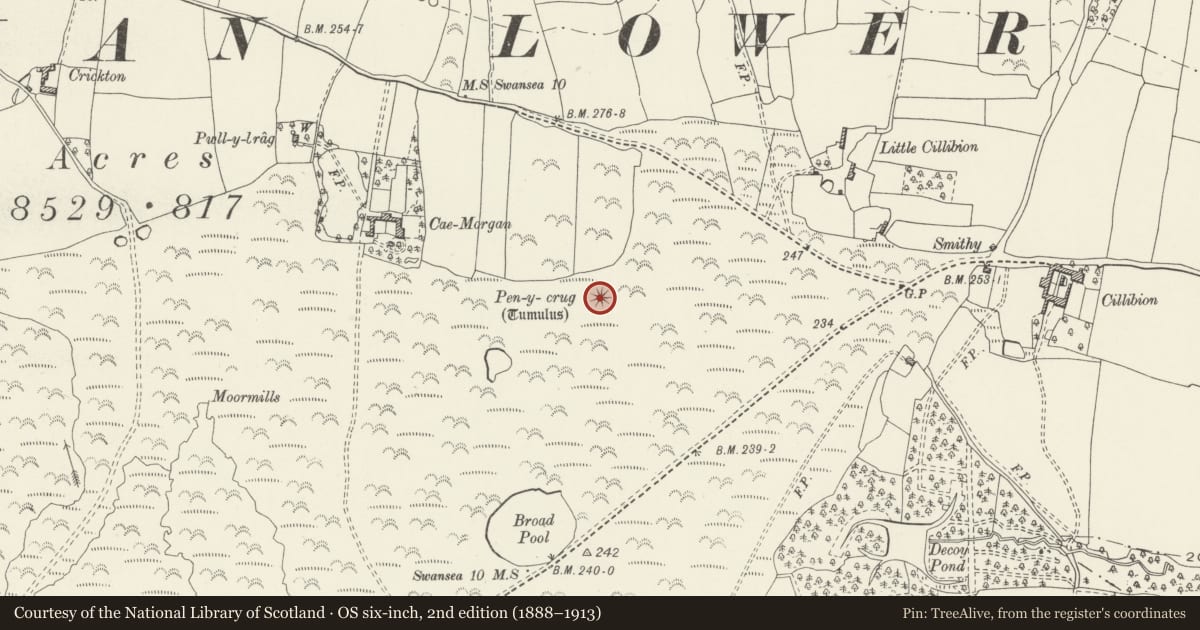 Ordnance Survey six-inch map, 2nd edition (1888–1913) covering the location of Pen-y-Crug Round Barrow, Llanrhidian Lower, Swansea, with a pin at the register's coordinates
