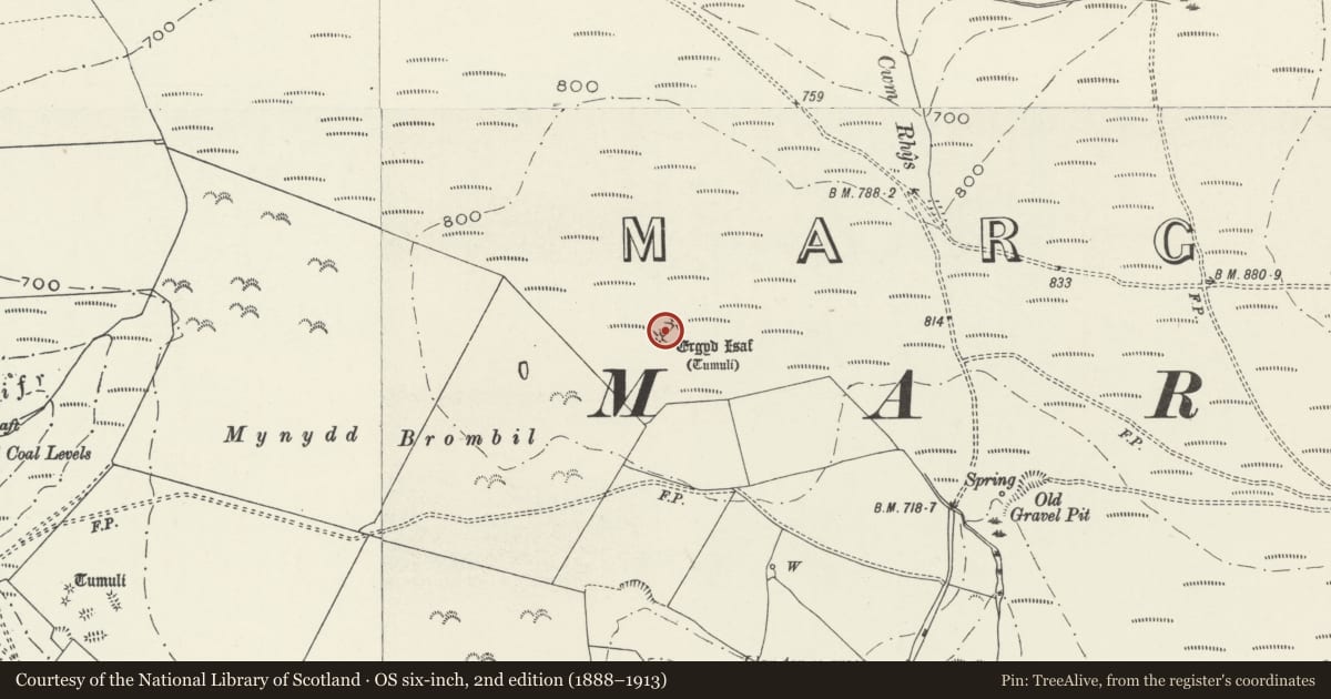Ordnance Survey six-inch map, 2nd edition (1888–1913) covering the location of Ergyd Isaf Round Barrows, Tai-Bach, Neath Port Talbot, with a pin at the register's coordinates