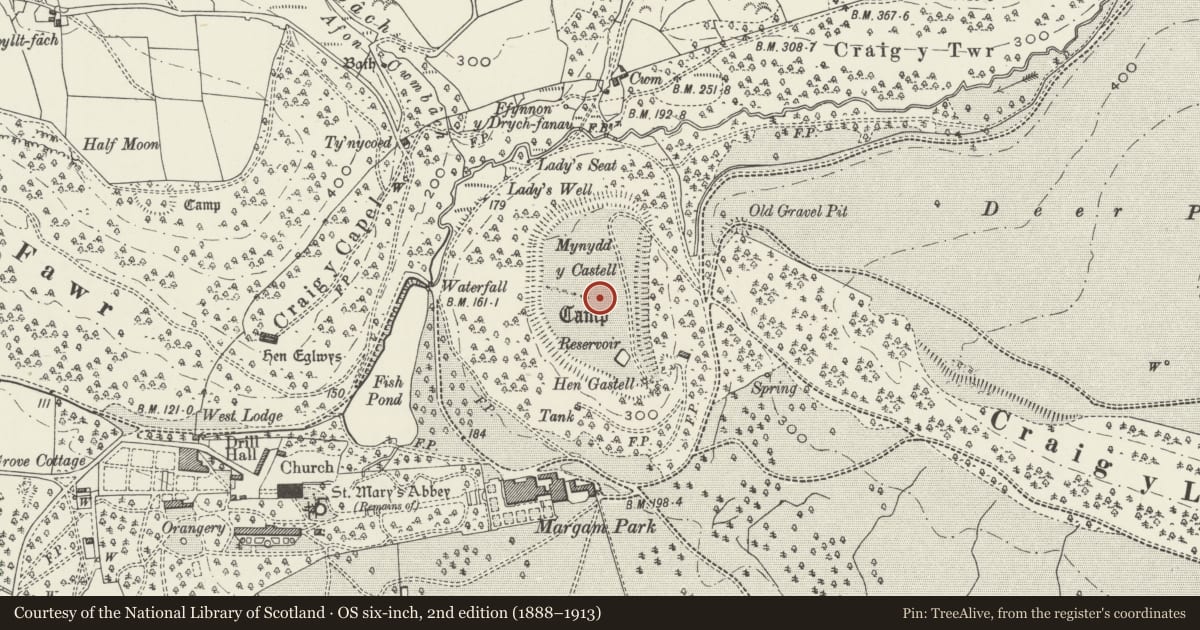 Ordnance Survey six-inch map, 2nd edition (1888–1913) covering the location of Mynydd y Castell Camp, Margam, Neath Port Talbot, with a pin at the register's coordinates