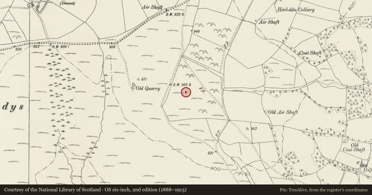 Ordnance Survey six-inch map, 2nd edition (1888–1913) covering the location of Rectangular Earthworks 530m SSW of Heol-Ddu-Uchaf, Bargoed, Caerphilly, with a pin at the register's coordinates