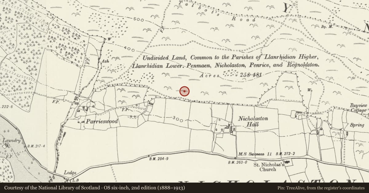 Ordnance Survey six-inch map, 2nd edition (1888–1913) covering the location of Cefn Bryn Burial Chamber, Ilston, Swansea, with a pin at the register's coordinates